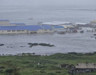 Rusya açıklarında 8,8'lik deprem: Tsunami dalgaları Rusya, Japonya ve ABD kıyılarına ulaştı
