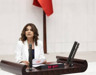 Meclis'te Gazze toplantısı... DEM Partili Koçyiğit: Filistin sorunu bir sömürgecilik sorunudur