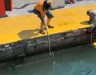 Nesli tükenen mavi yelken balığı avına ceza