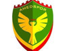 Amedspor olağanüstü kongreye gidiyor