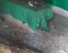 Suriye'nin Tartus kentinde Alevi mezarlığı bombalandı