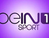 BeIN Sports binasına silahlı baskın