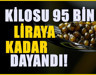 Türkiye’nin Amasya ilinde de yetişiyor! Kilosu 95 bin liradan alıcı buluyor